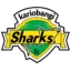 Kariobangi Sharks badge