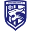Wuhan Three Towns badge
