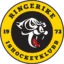 Ringerike Panthers badge