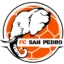 FC San Pédro badge