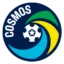New York Cosmos badge