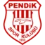 Pendikspor badge