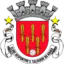 São Salvador badge