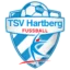 TSV Hartberg II badge