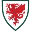 Wales U21 badge