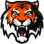 Amur Khabarovsk badge