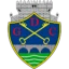 Chaves badge