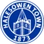 Halesowen Town badge