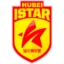 Hubei Istar badge