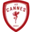 Cannes badge