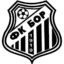 Bor 1919 badge