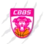 Charnay Women badge