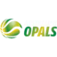 Australia Basketball Women badge