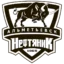 Neftyanik Almetievsk badge
