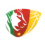 Cameroon Basketball badge