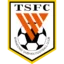 Shandong Taishan B badge