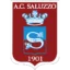 Saluzzo badge