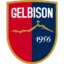 Gelbison badge