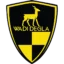 Wadi Degla badge