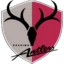 Kashima Antlers badge