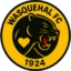 Wasquehal badge