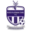 Ngezi Platinum badge