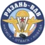 Ryazan-VDV badge