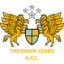 Treowen Stars badge