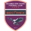 Becamex Hồ Chí Minh City badge
