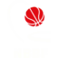 Norway Basketball badge