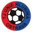 Unie Hlubina badge
