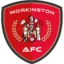 Workington badge