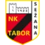 Tabor Sežana badge