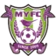 Fujieda MYFC badge
