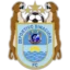 Deportivo Binacional badge
