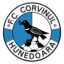 Corvinul Hunedoara badge