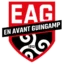 Guingamp badge
