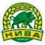 Nyva Ternopil badge