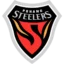 Pohang Steelers badge