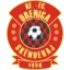 Vushtrria badge