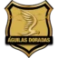 Rionegro Águilas badge