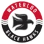 Waterloo Black Hawks badge
