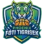 Fóti Tigrisek badge