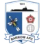 Barrow badge