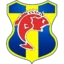Toulon badge