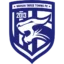 Wuhan Three Towns B badge
