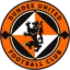 Dundee United B badge