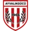 Ayvalıkgücü Belediyespor badge