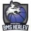 BMS Herlev badge