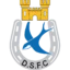 Dungannon Swifts badge